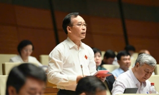 Đại biểu Quốc hội Trần Văn Tuấn: Cần tạo động lực mạnh mẽ hơn từ khu vực kinh tế tư nhân